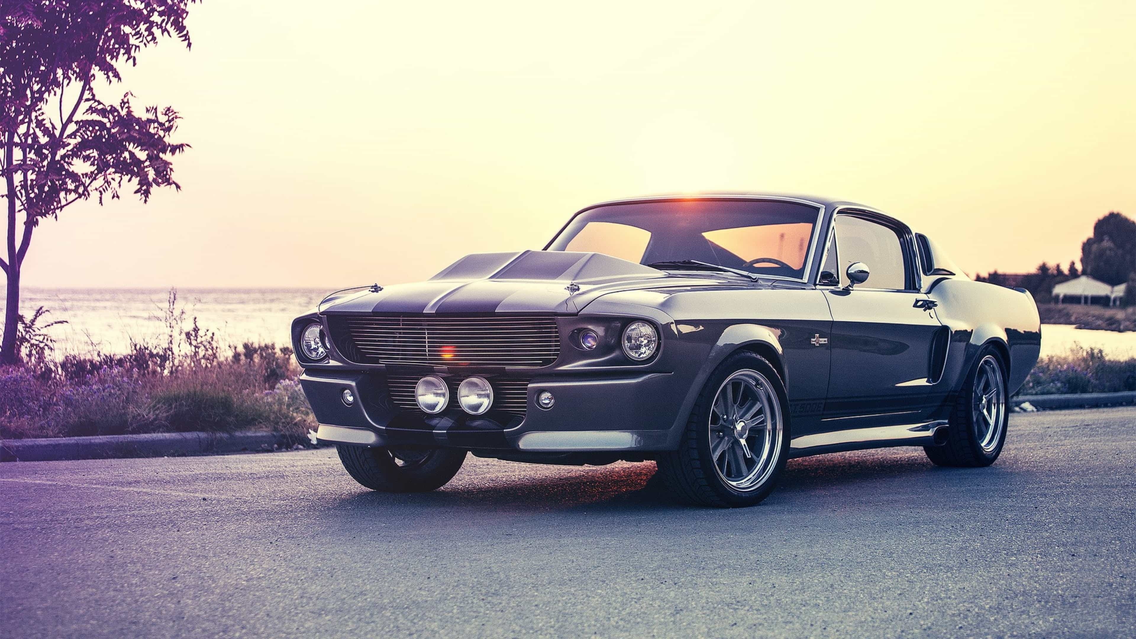 Shelby GT Eleanor