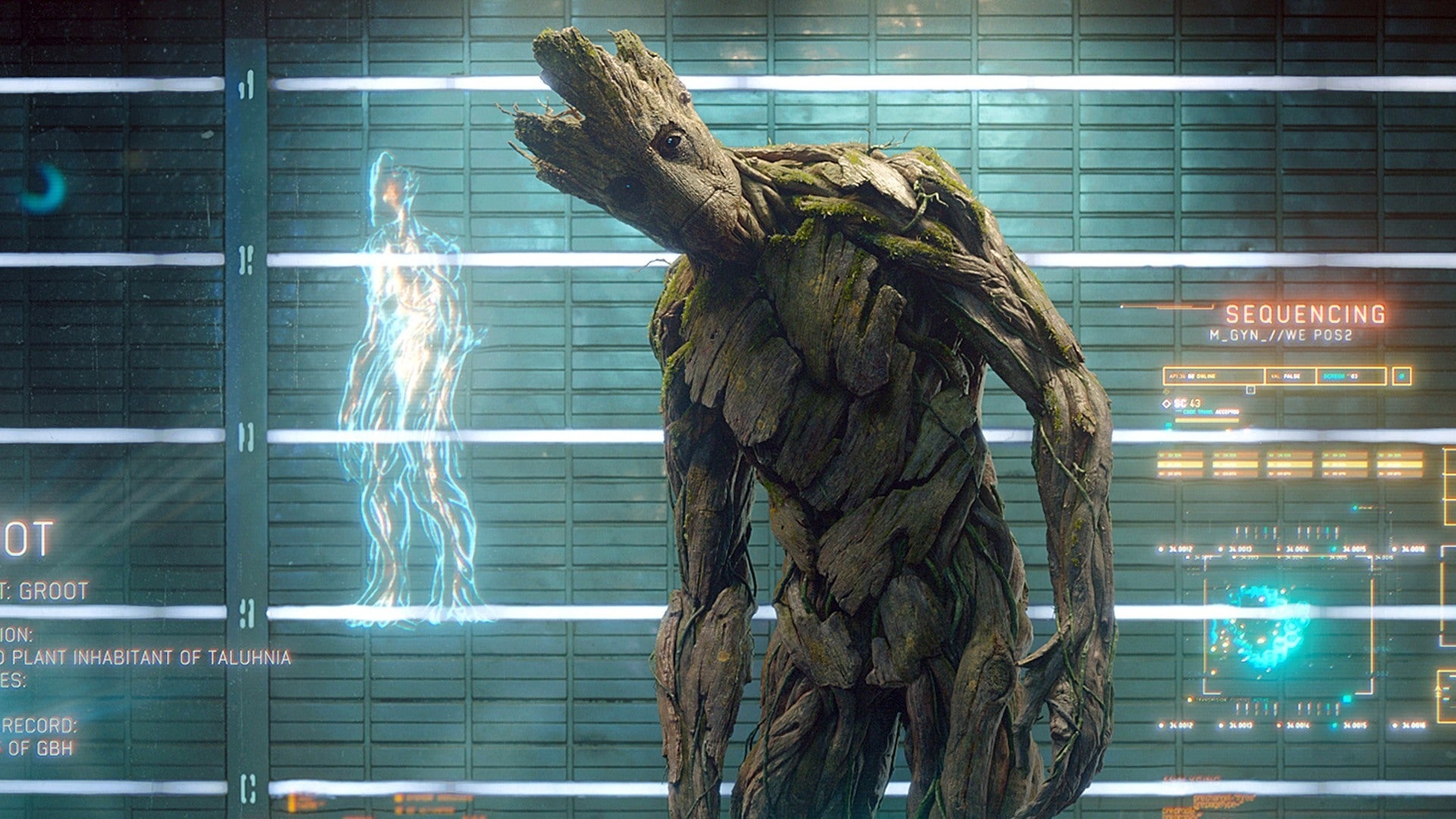 Groot