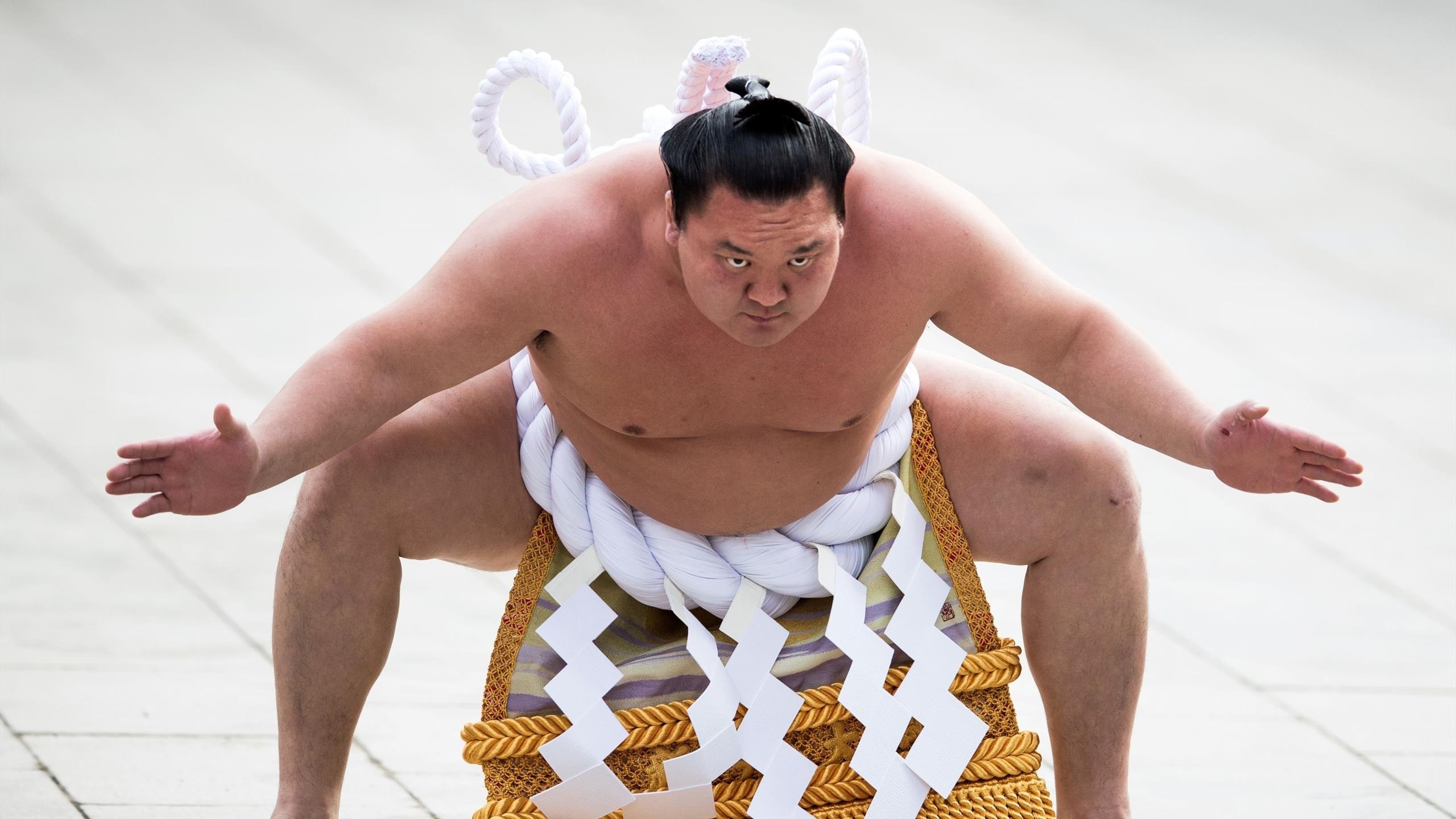 Sumo