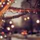 Fairy Lights
