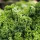 Greens