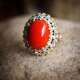 Red Coral