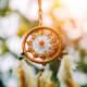 Amulet