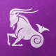 Capricorn Zodiac Sign