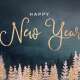 New Year