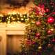Christmas Trees