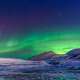 Arctic