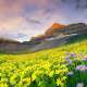 Valley of Flowers (India)