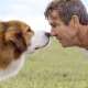 A Dog's Purpose