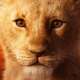 The Lion King (2019)