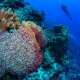 Caribbean Coral Reef Islands