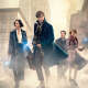Fantastic Beasts and Where to Find Them