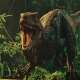 Velociraptor