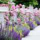 Flower Garden