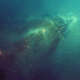 Green Nebula