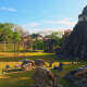 Tikal National Park
