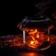 Firefly (Insect)