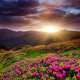 Sunrises