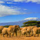 Tanzania