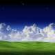 Grass and Sky