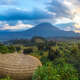 Virunga National Park