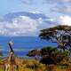 Mount Kilimanjaro
