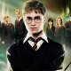 The Order of the Phoenix