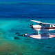 Cessna 205