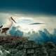 Stork