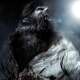 The Wolfman