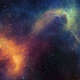 Cosmos