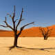 Kalahari Desert