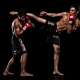 Mixed Martial Arts