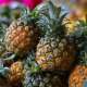 Pineapples