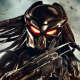 Predator