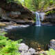 Daintree National Park