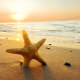 Sea Star