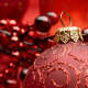 Christmas Ornaments