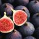 Figs