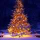 Christmas Lights