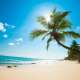 Hawaiian Beaches
