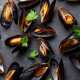 Shellfish