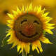 Happy