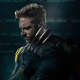 The Wolverine