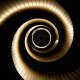 Golden Ratio