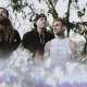 The Used (Band)