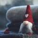 Gnome