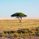 Etosha National Park