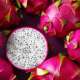 Dragon Fruits