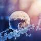Bubbles